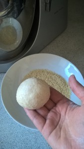 burgerbolle på hånd