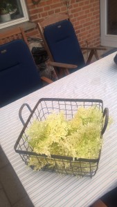 hyldeblomster i kurv