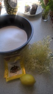 ingr til hyldeblomst