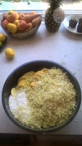 ingr til hyldeblomst i skål