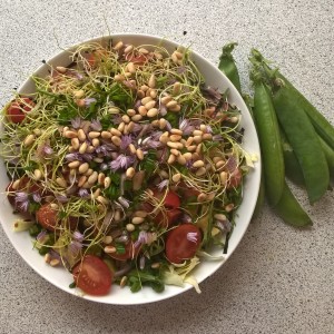 salat2