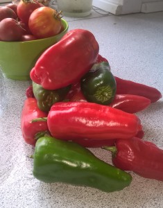friske pebre